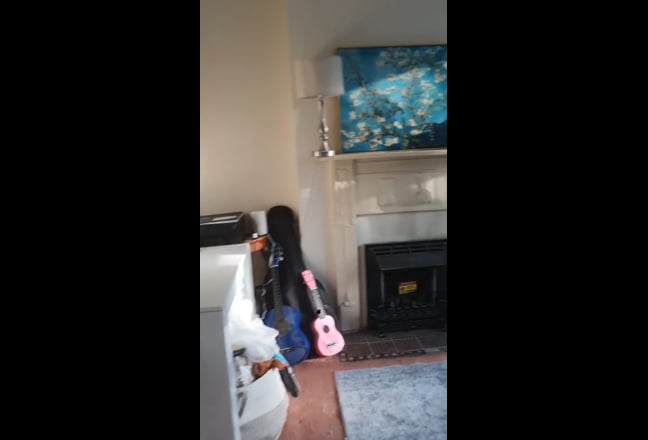 Video 1: