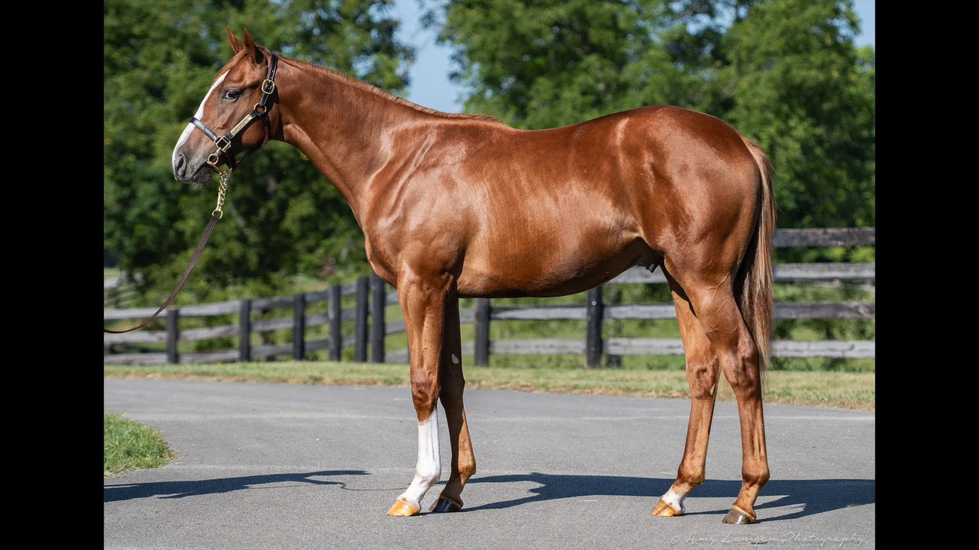 Jack Christopher Carries Momentum into Keeneland September - Coolmore