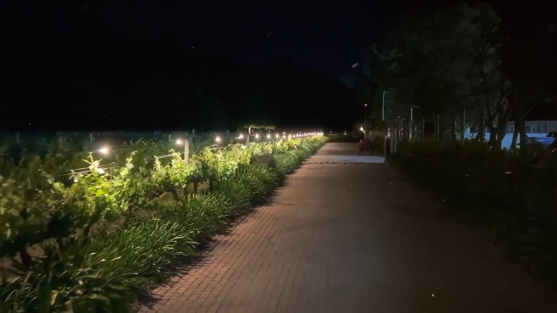 https://i.vimeocdn.com/video/2051051700-0e0cc3f6643902b46b67ed7625add0634532a547a9cc784502205bd17749dc80-d