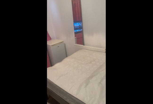 A room in a shared apartment for females only. Main Photo