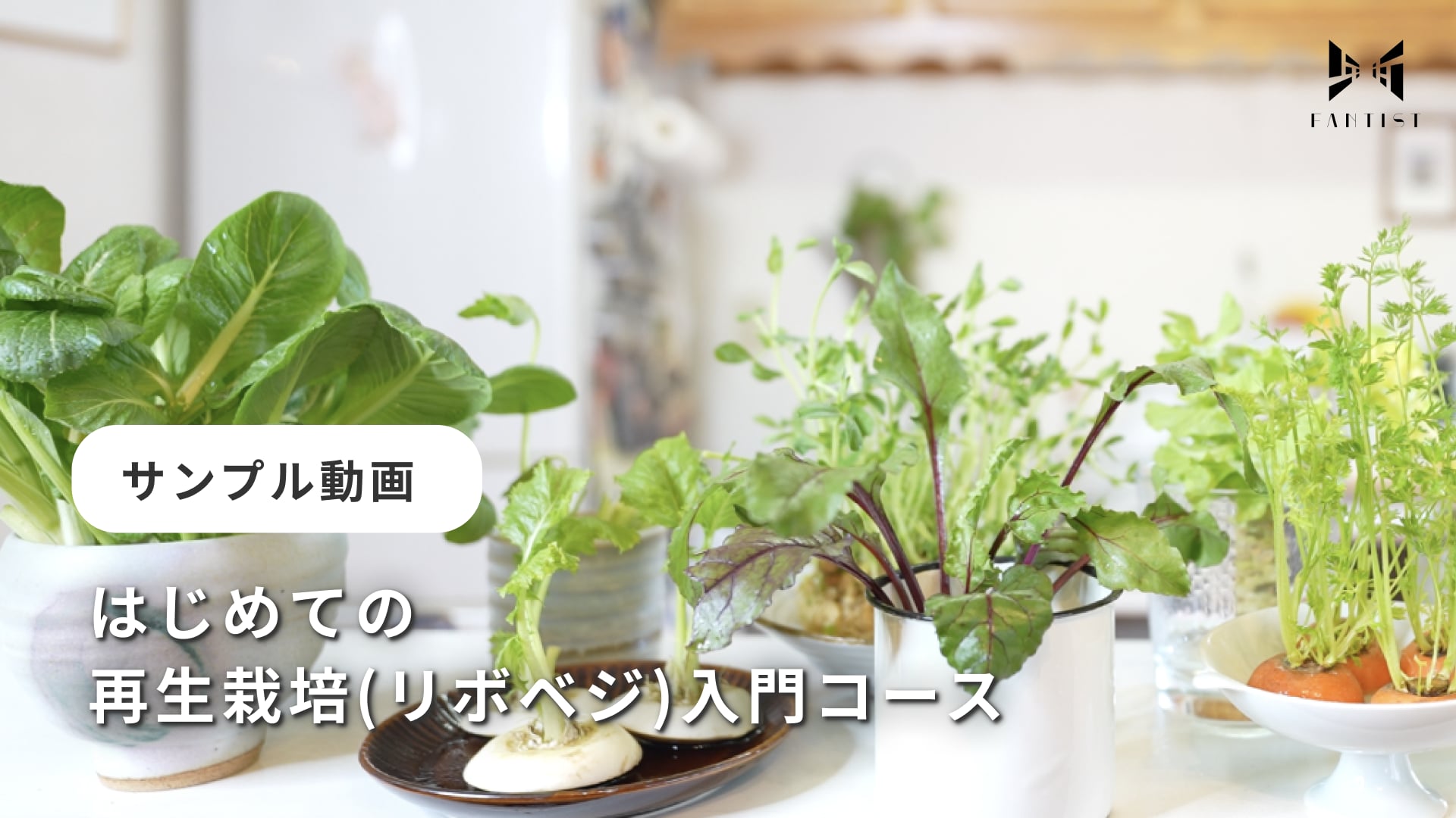カリキュラム動画のサムネイル画像