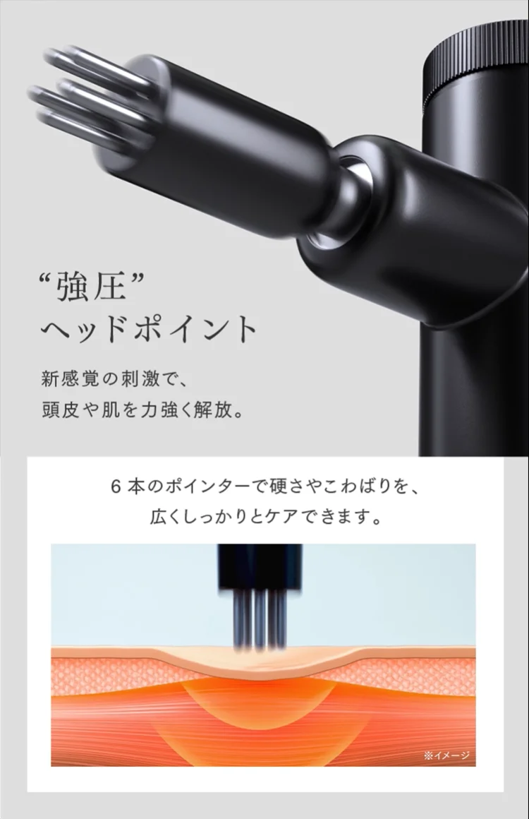fresher straighter ネック ボディ ジャンク 部品取り fresher straighter ネック ボディ ジャンク 部品取り Yahoo