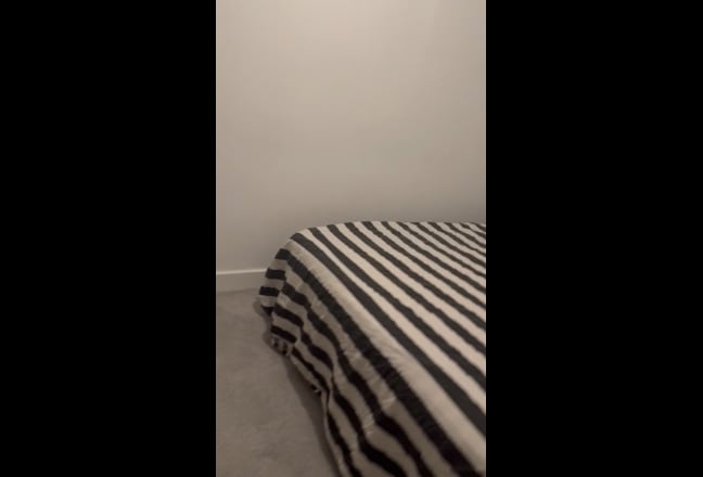 Video 1: