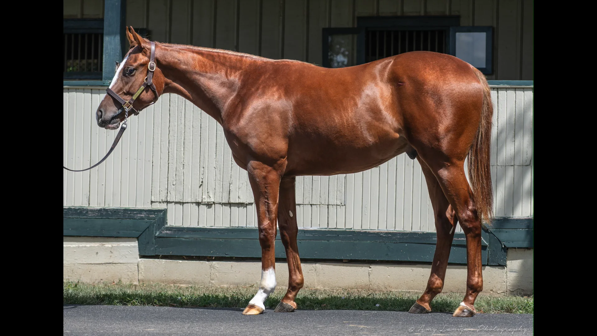 Jack Christopher Carries