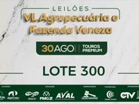 Lote 300