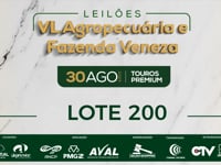 Lote 200