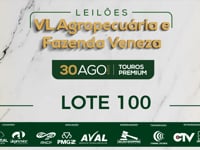 Lote 100