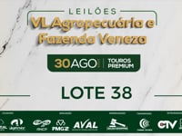 Lote 38