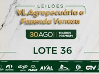 Lote 36