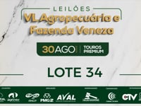 Lote 34