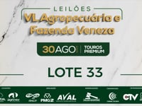 Lote 33