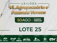 Lote 25