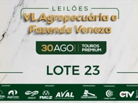 Lote 23