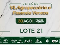 Lote 21
