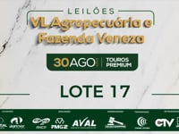 Lote 17