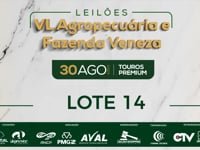 Lote 14