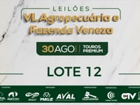 Lote 12