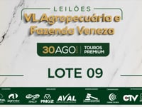 Lote 09