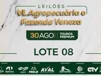 Lote 08