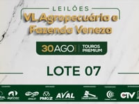 Lote 07