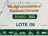 Lote 06