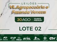 Lote 02