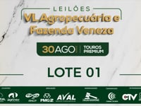Lote 01