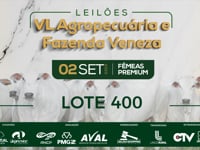 Lote 400