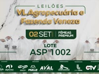 Lote ASP 1002