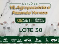 Lote 30