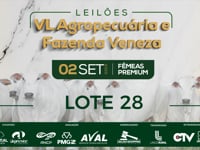 Lote 28