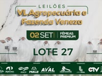 Lote 27