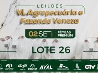 Lote 26