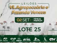 Lote 25