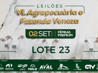Lote 23