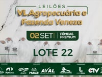 Lote 22