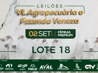Lote 18