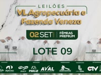 Lote 09
