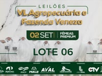 Lote 06