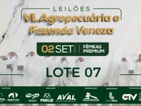 Lote 07