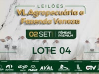 Lote 04