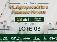 Lote 03