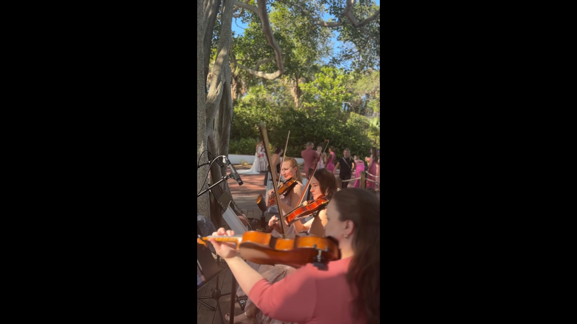 Promotional video thumbnail 2 for Perle Noire String Musicians