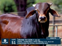 Lote S01