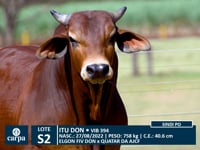 Lote S02