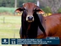 Lote S03