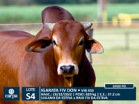 Lote S04