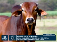 Lote S05