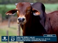 Lote S07