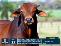 Lote S08